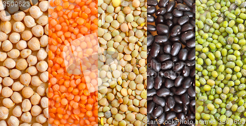 Image of different kind of beans