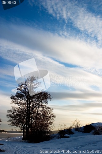 Image of Landscape with Tree