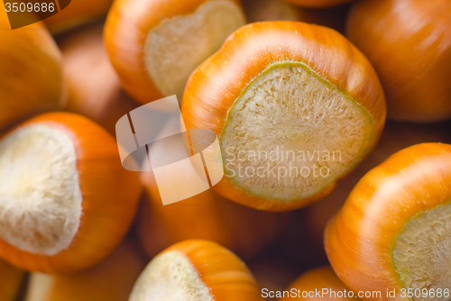 Image of group from nuts, background from hazelnuts