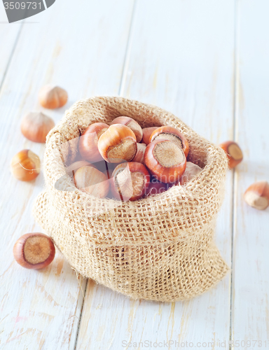 Image of hazelnuts