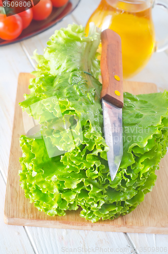 Image of fresh salad