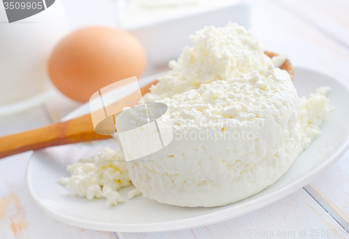 Image of Milk products, fresh cottage in the white plate