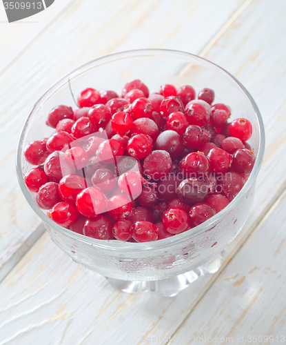 Image of frozen cranberry