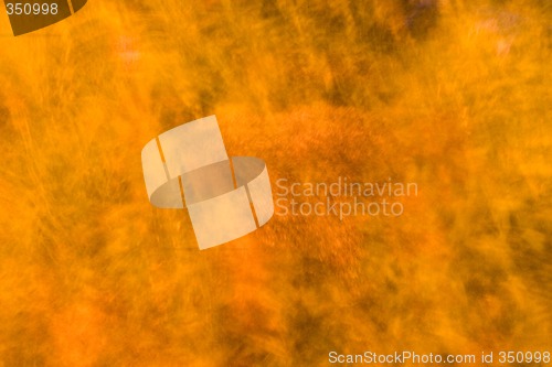 Image of Wild Orange Abstract