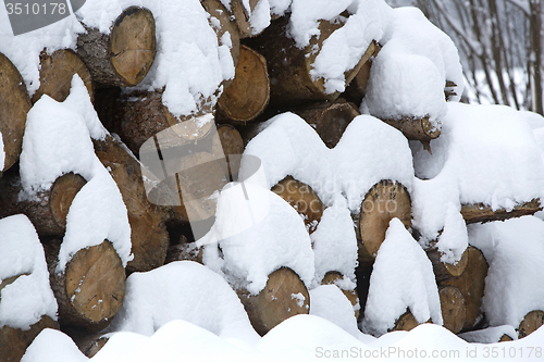 Image of Snow covered stack of wood
