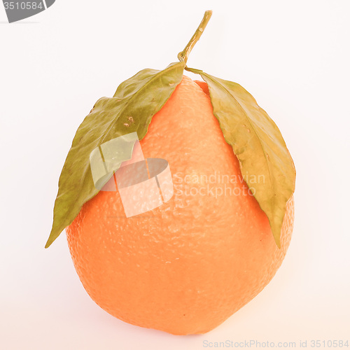 Image of Retro looking Orange fruit