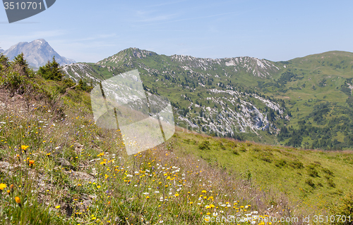 Image of Typical view of the Swiss alps