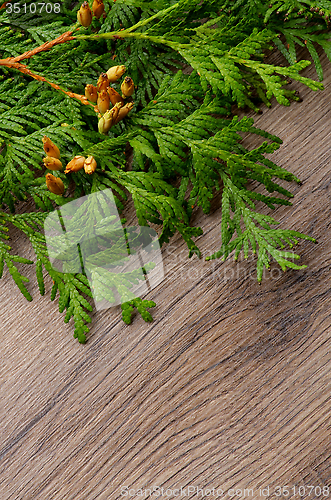 Image of Christmas Decorations
