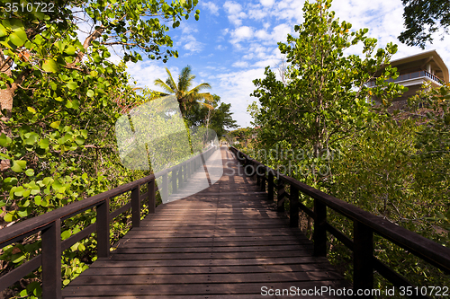 Image of Indonesian landscape with walkway