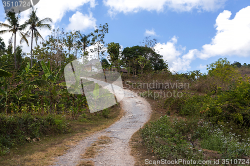 Image of Roand on Nusa Penida Island