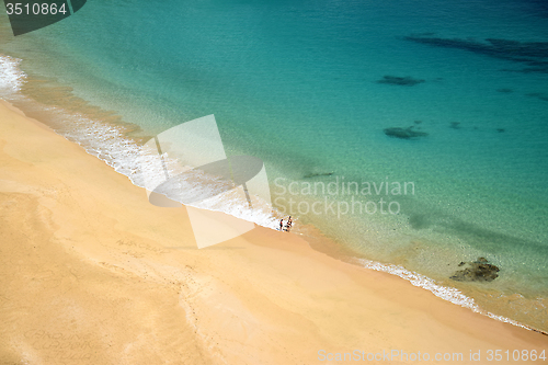 Image of Crystalline sea beach in Fernando de Noronha,Brazil