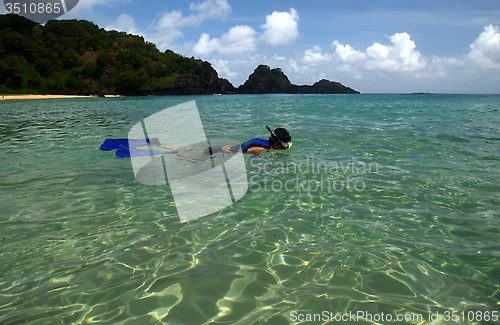 Image of Diving in a crystalline sea beach in Fernando de Noronha,Brazil