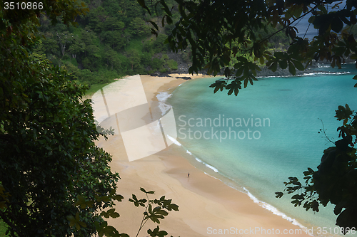 Image of Crystalline sea beach in Fernando de Noronha,Brazil