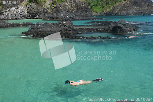 Image of Diving in a crystalline sea beach in Fernando de Noronha,Brazil