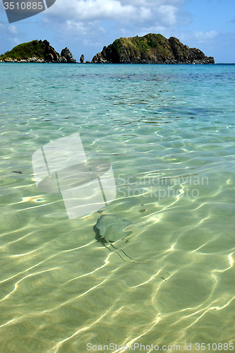 Image of Crystalline sea beach in Fernando de Noronha,Brazil