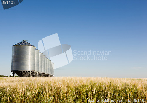 Image of Prairie Harvest