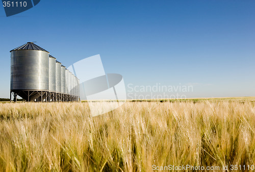 Image of Prairie Harvest Landscape