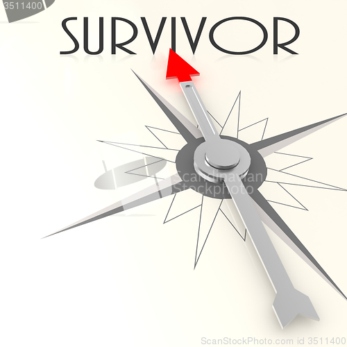Image of Compass with survivor word