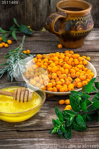 Image of Medicinal the decoction of buckthorn berries