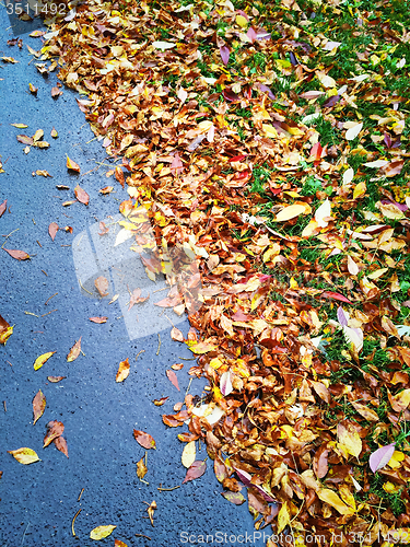 Image of Autumn leaves on asphalt background