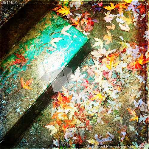 Image of Grungy background with autumn leaves