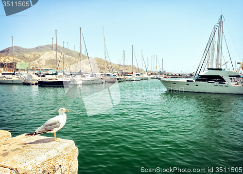 Image of Old port in Cartagena, Spain