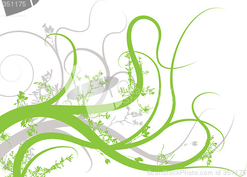 Image of floral reach