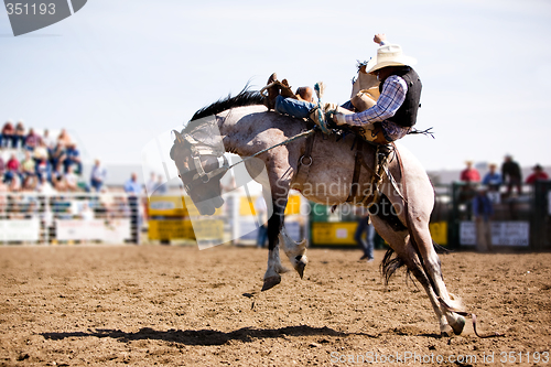 Image of Rodeo Cowboy