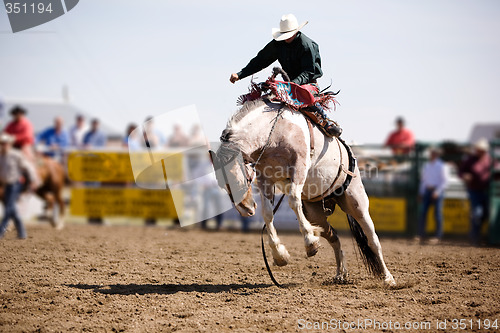 Image of Saddle Bronc