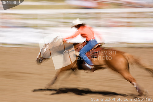 Image of Speeding Horse