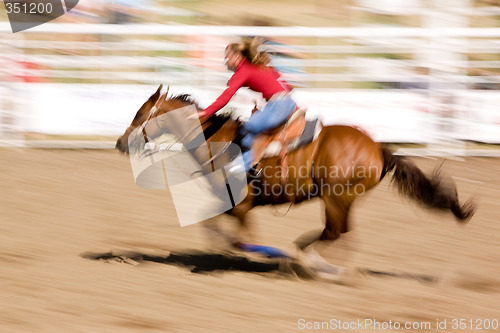 Image of Speed Horse