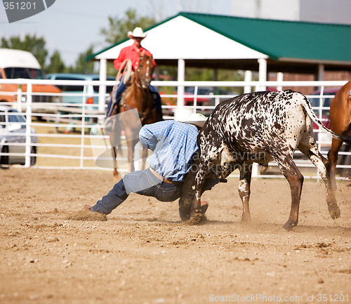 Image of Steer Wrestling