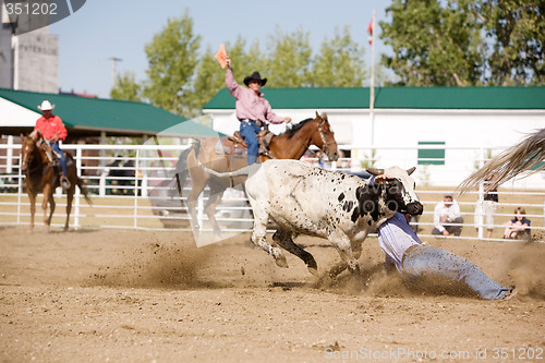 Image of Steer Wrestling