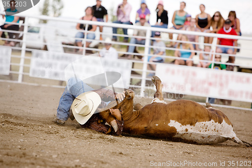 Image of Steer Wrestling