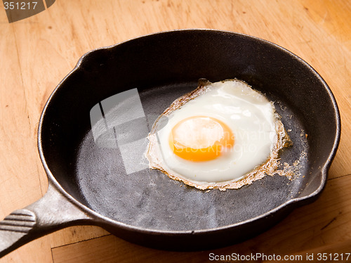Image of Fried Egg
