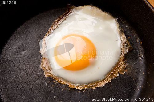 Image of Fried Egg Detail