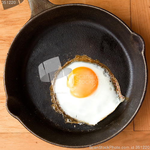 Image of Fried Egg