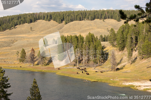 Image of Yellowstone National Park, Utah, USA