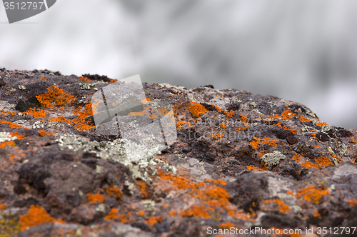 Image of Yellowstone National Park, Utah, USA