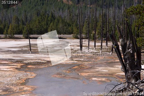 Image of Yellowstone National Park, Utah, USA