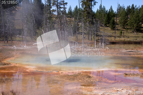 Image of Yellowstone National Park, Utah, USA