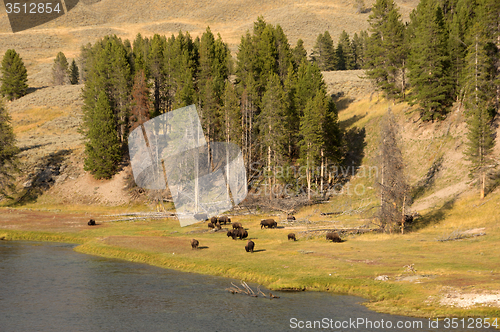 Image of Yellowstone National Park, Utah, USA