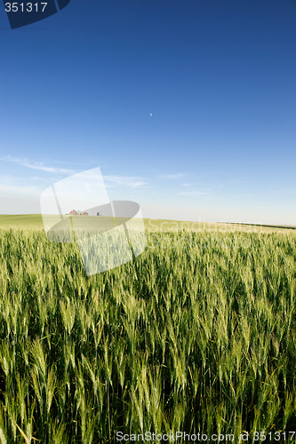 Image of Prairie Farmland