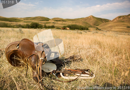 Image of Western Saddle