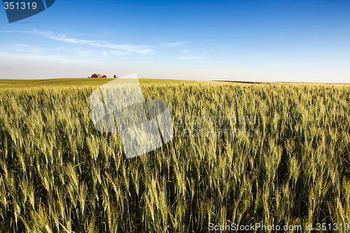 Image of Prairie Farmland