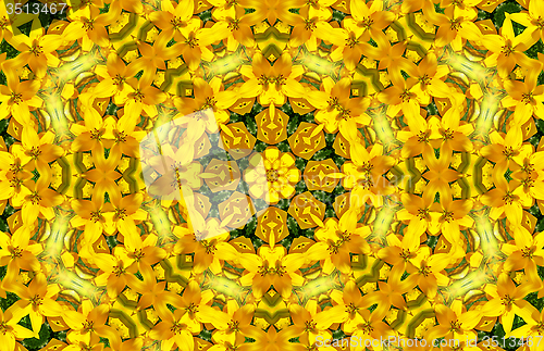 Image of Flower abstract pattern