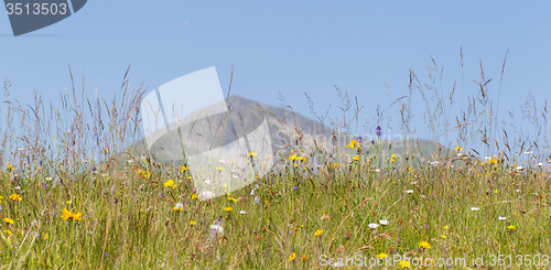 Image of Typical view of the Swiss alps