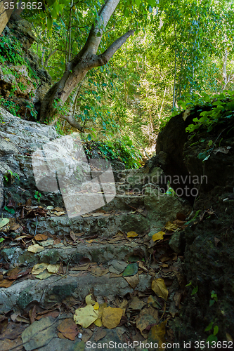 Image of Stone staircase leading on Tembeling pool