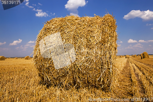 Image of straw stack  