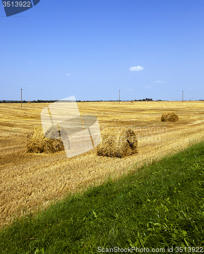 Image of straw stack  